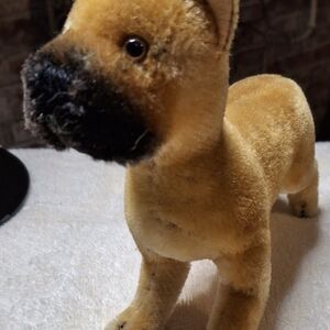 Beautiful SERRAS STEIFF BOXER